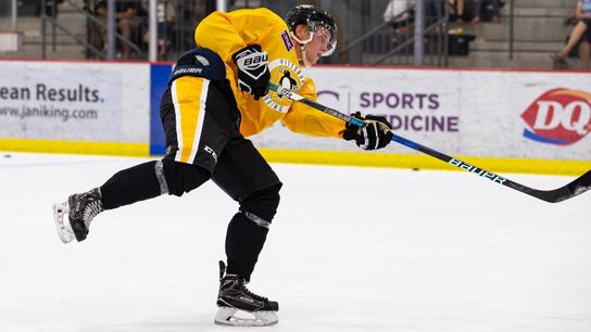 Penguins relinquish rights to prospect Palojarvi taken at PPG Paints Arena (Penguins)